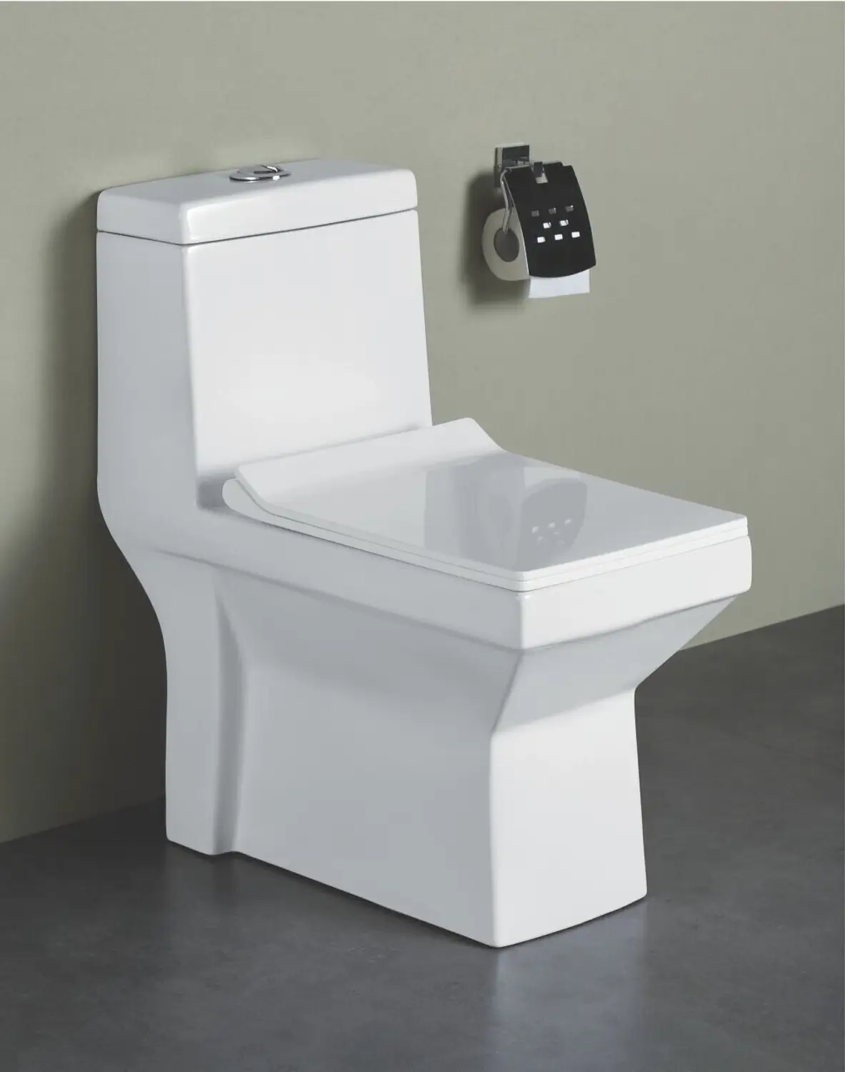 Single Piece WC